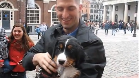 Wife Adopts Puppy Months Before Military Husband Comes Back