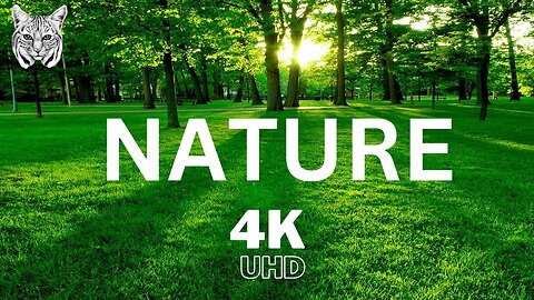 Tranquil Escapes: Nature Relaxation Film with Peaceful Music-4K Ultra HD