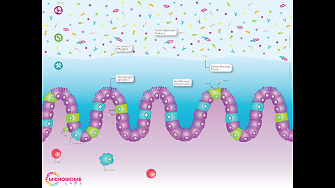 Beneficial Gut Bacteria