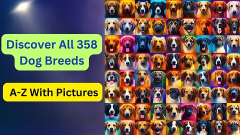 Discover All 358 Dog Breeds: A-Z With Pictures