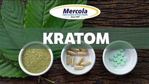 Herbal Painkiller and Opium Substitute "Kratom" Dr Mercola Interviews Top World Expert Dr. McCurdy