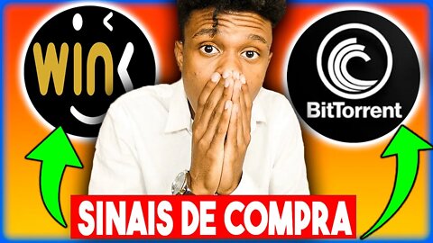 WINKLINK (WIN) BitTorrent (BTT) Ainda Vale a Pena? A Hora De Comprar Chegou! | Edney Pinheiro