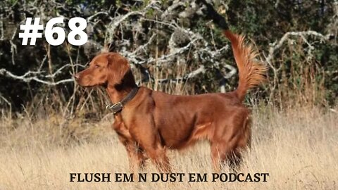 Quantonas Irish Setters and Field Trials