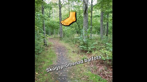 Skogspromenad barfota