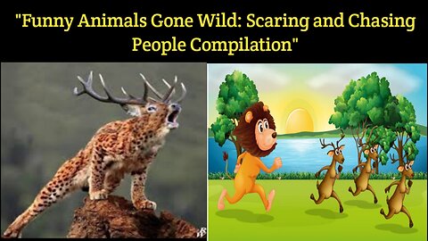 "Laugh Out Loud: Animals Scaring and Chasing People Compilation"