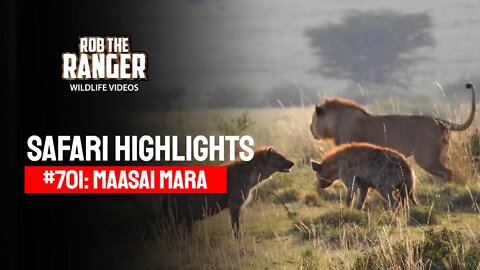 Safari Highlights #701: 05 August 2022 | Maasai Mara/Zebra Plains | Latest Wildlife Sightings