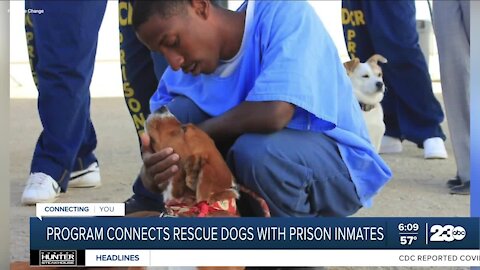 Kern's Kindness: Tehachapi dog rescue Marley's Mutts creating Pawsitive Change for inmates, dogs