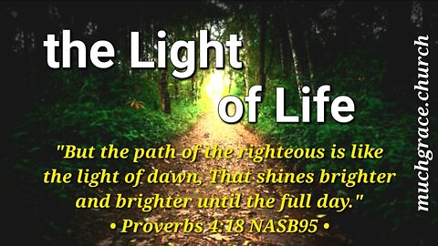 The Light of Life : God is LIGHT