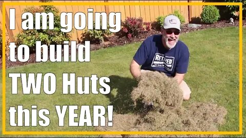 The Sun Joe AJ801E DETHATCHER | De-thatching the Lawn - Cool Season Lawn - Part 3 | 2020/19