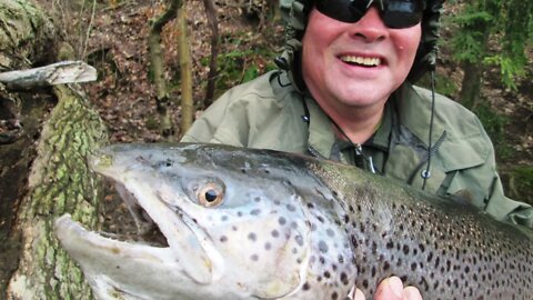 Erie Steelhead Winter Photos