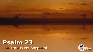 PSALM 023 // THE LORD, THE PSALMIST’S SHEPHERD