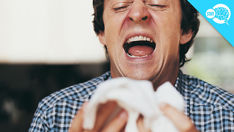 BrainStuff: Can Your Eyes Pop Out Of Your Head When You Sneeze?