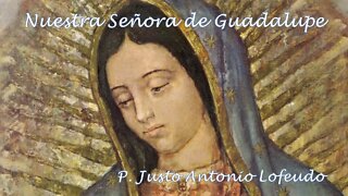 Nuestra Señora de Guadalupe (2022) P. Justo Antonio Lofeudo.