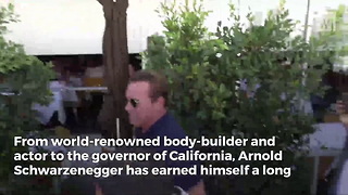 Schwarzenegger Unleashes Incredibly Bizarre Lawsuit