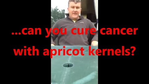 ...can you cure cancer with apricot kernels?