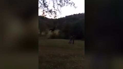 Man Holding A Zip Line Rope Falls Down