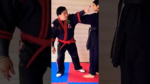 Master Fight Technique No.17😱😳#selfdefense #martialarts #karate #capoeira #viralshort #judo #viral