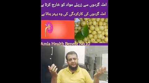 Can Kidney Patients Consume Amla?|Amla Juice|.