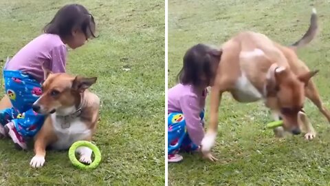 Little Girl Gets Wiped Out By High Energy Dog