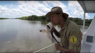 Man kisses shark before releasing it back into the river