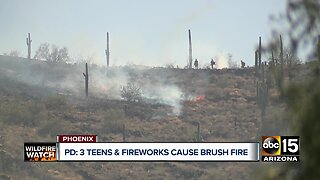 Three teens and fireworks cause brush fire