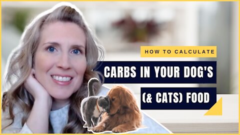 How To Calculate The Carbs In Your Dog & Cat Food (& Why It's Important!)