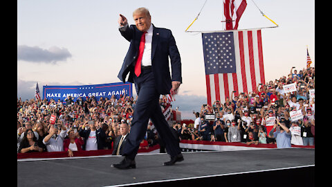 MASSIVE Crowd for Trump Rally in Perry, Georgia