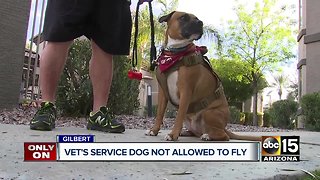 Gilbert veteran upset after service dog not allowed on flight