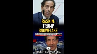 Raskin: Trump SNOWFLAKE! #shorts