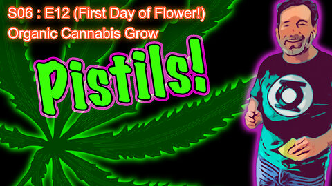 S06 E12 (Day #78) || Pistils!!! First Day of Flower || Caring for a Runt || BlueMat Soil Meter