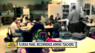 Florida school massacre panel recommends arming teachers