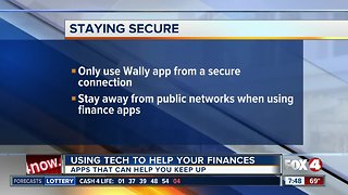 Wally Financial App