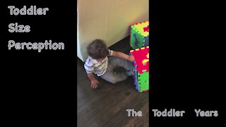 Toddler Size Perception