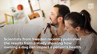 Scientists Reveal the Amazing Health Benefits of Owning a Dog