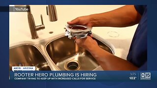 Rooter Hero plumbing is hiring in Arizona