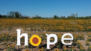 Maria's Field of Hope