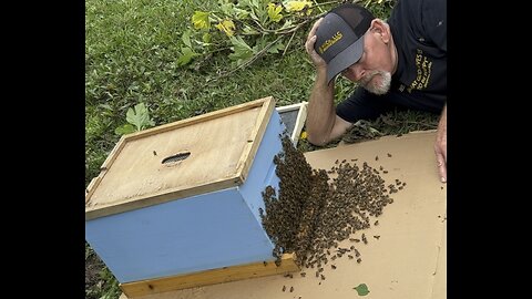 Why do Honeybees Swarm?