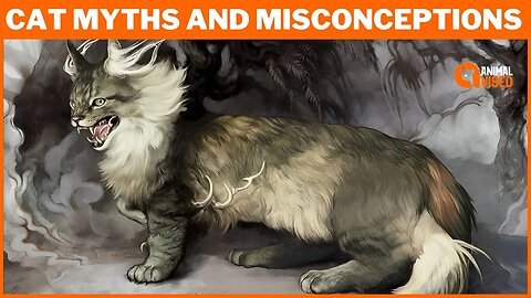 Biggest Cat Myths and Misconceptions - Revealed! Get the Facts | Animal Vised
