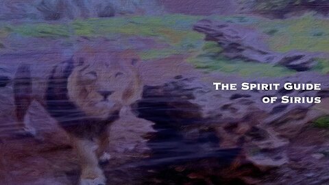 Pamela Storch - The Spirit Guide of Sirius (Official Lyric Video)