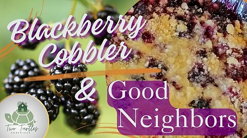 Discover the best Blackberry Cobbler recipe ever!