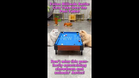 Feline Billiards Battle: Cats Take Over the Pool Table!!