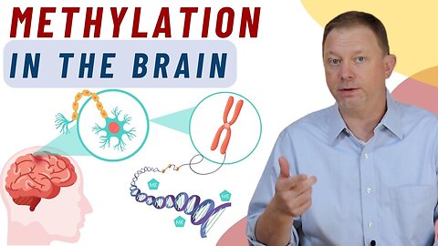 Methylation in the Brain: What is it?