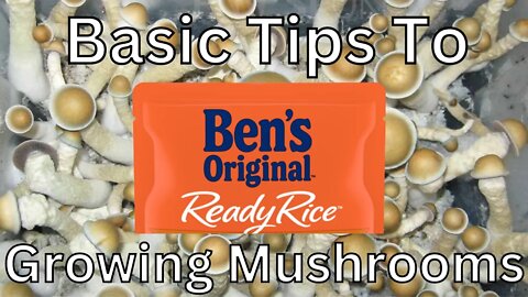 Basic tips to growing mushrooms with 90 Sec Mycology