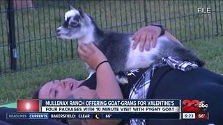 Mullenax Ranch offering Goat-Grams for Valentine's Day