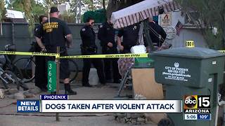 Two people remain hospitalized after Phoenix dog attack