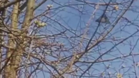 Triangle UFO over York in England?