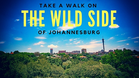 Take a Walk on the Wide Side of Johannesburg