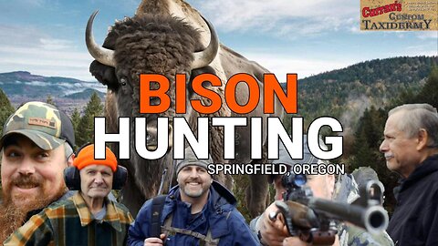 Bison Hunting in Springfield Oregon | Currans Custom Taxidermy, Free Roaming Bovidae