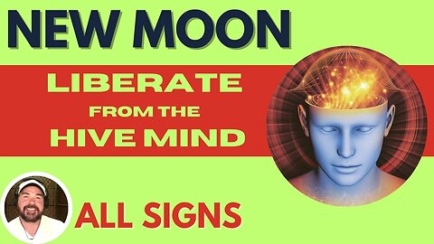 💥All Signs - New Moon - Liberate Yourself from the Hive Mind -