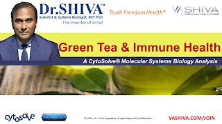 5 Ways How Green Tea Affects the Immune System